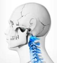 Adjustable Neck Traction Device for Daily Comfort